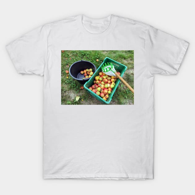 Apple harvest T-Shirt by Gourmetkater